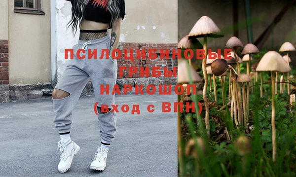 мескалин Богородицк