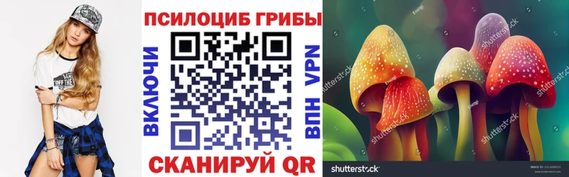 Галлюциногенные грибы Psilocybine cubensis  мега вход  Туапсе  где можно купить наркотик 